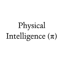 Physical Intelligence